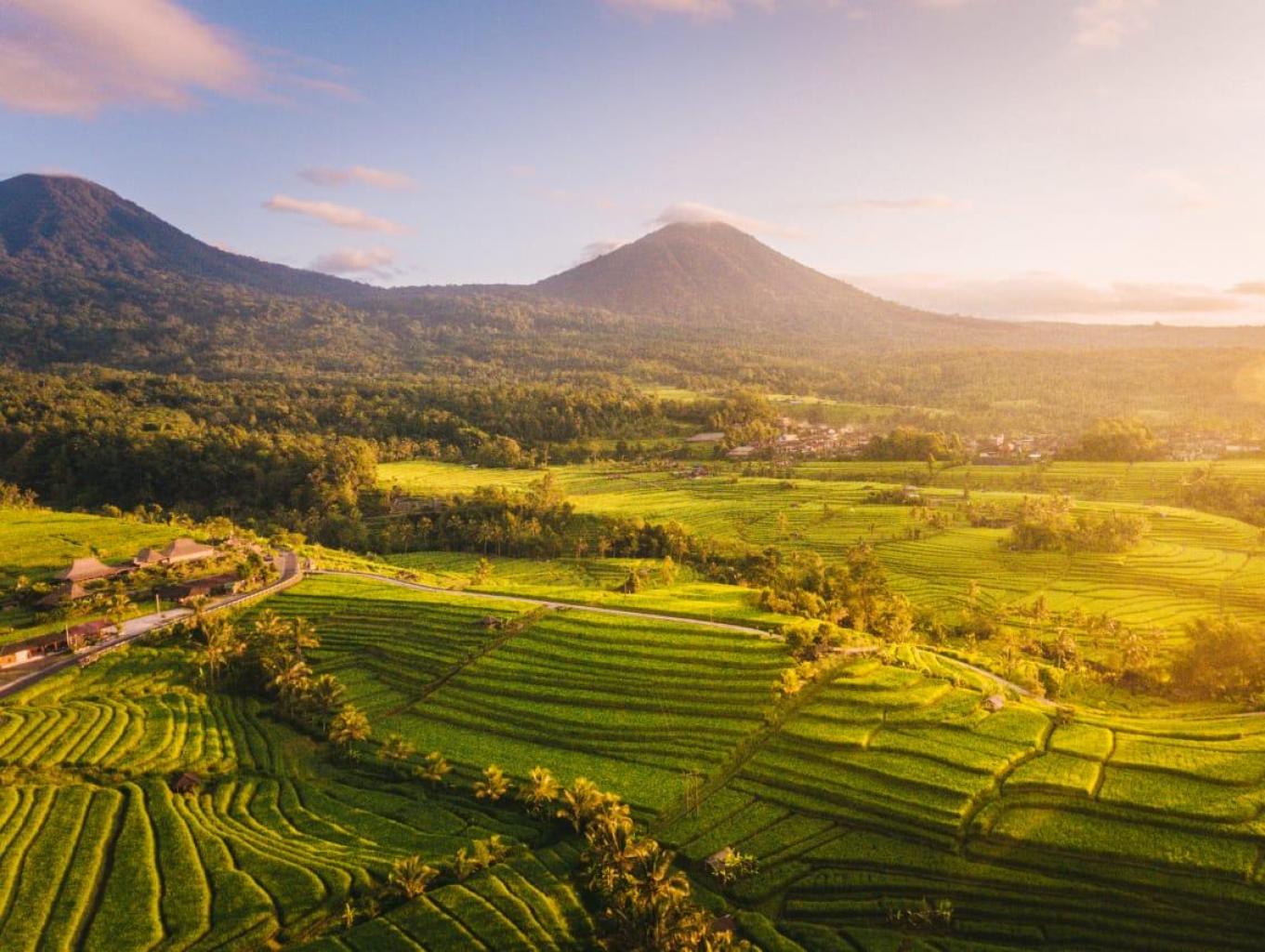 Alam Desa Kebayoran Lama Selatan yang Asri