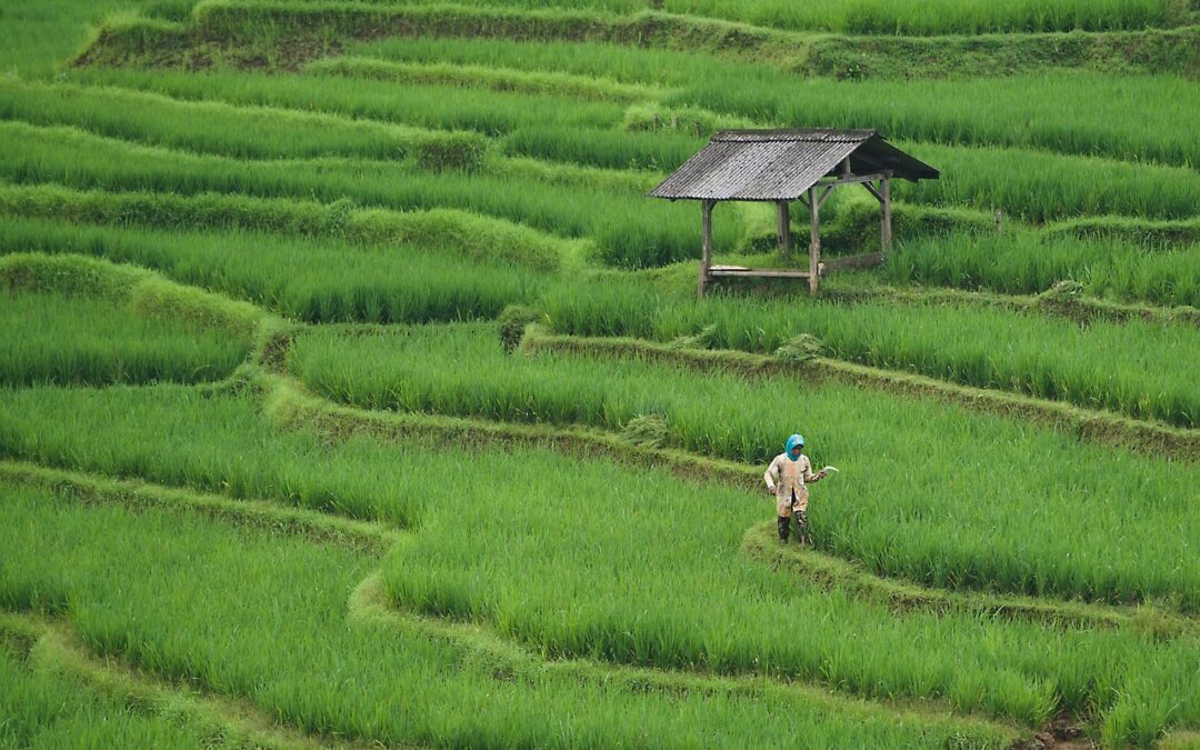 Tantangan dan Solusi dalam Peningkatan Layanan Kesehatan di Desa Kebayoran Lama Selatan