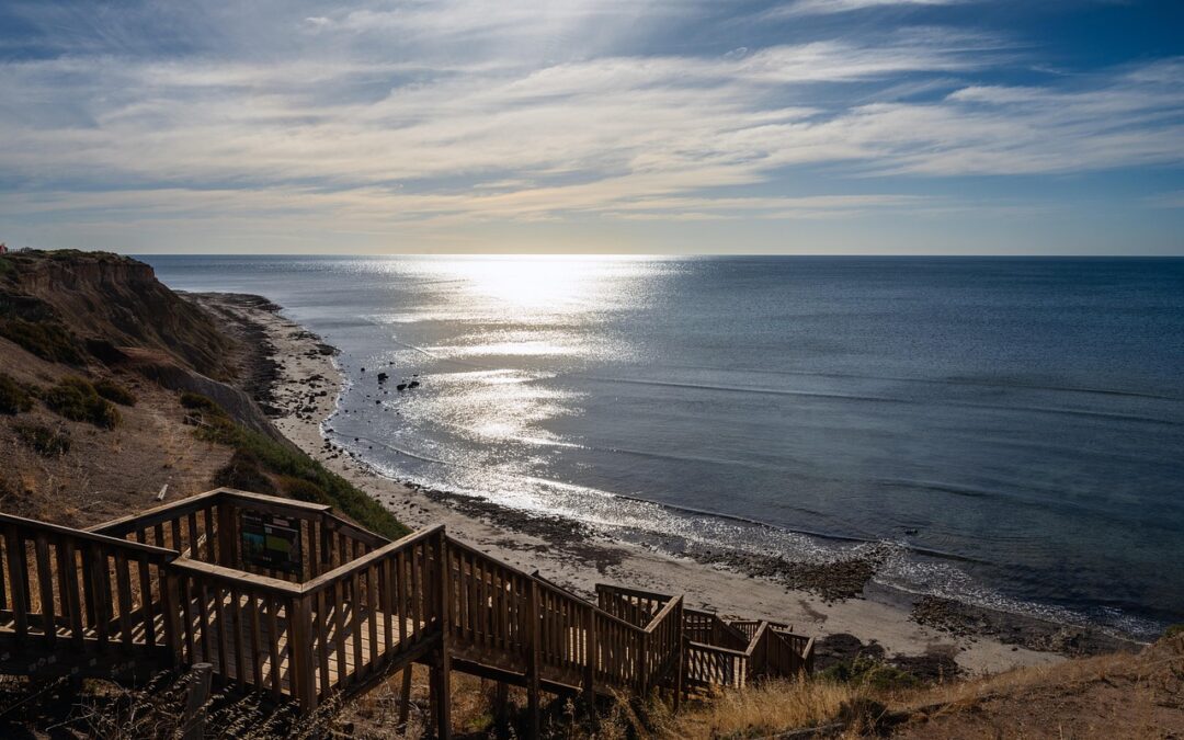 Program Edukasi PKK: Membangun Jaringan Sosial di Kebayoran Lama Selatan