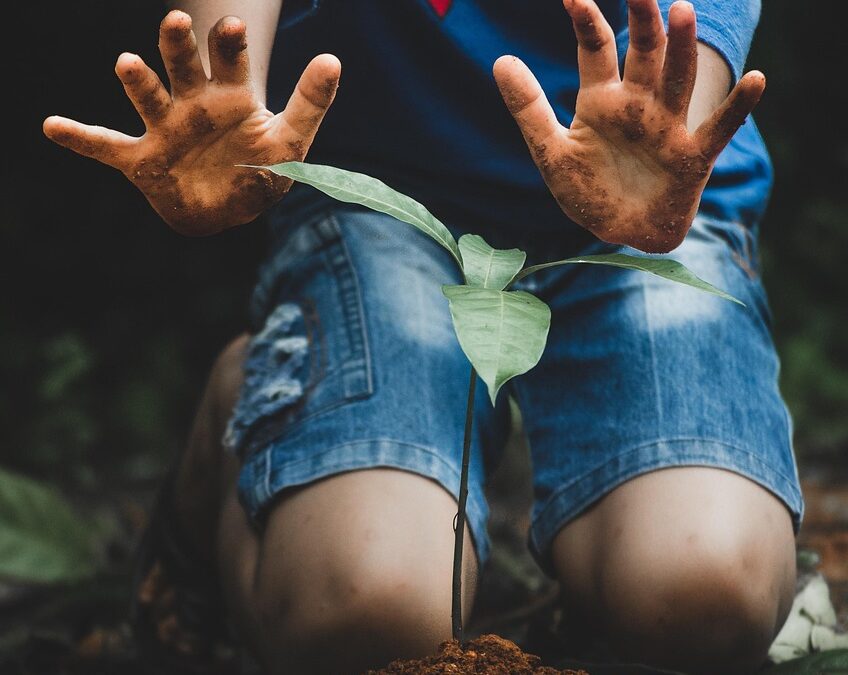 Edukasi Lingkungan Hidup dan Dampaknya bagi Masyarakat Kebayoran Lama Selatan