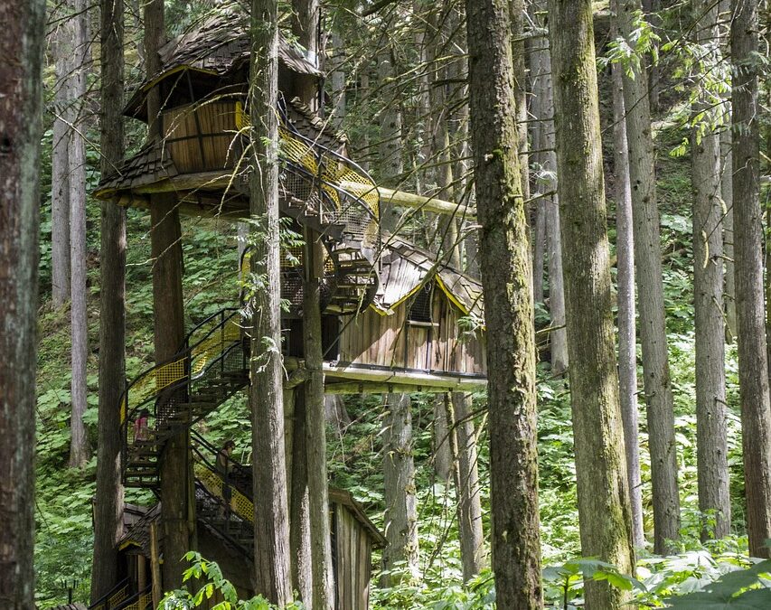 Pemberdayaan Perempuan: Edukasi PKK untuk Tatanan Keluarga di Kebayoran Lama Selatan