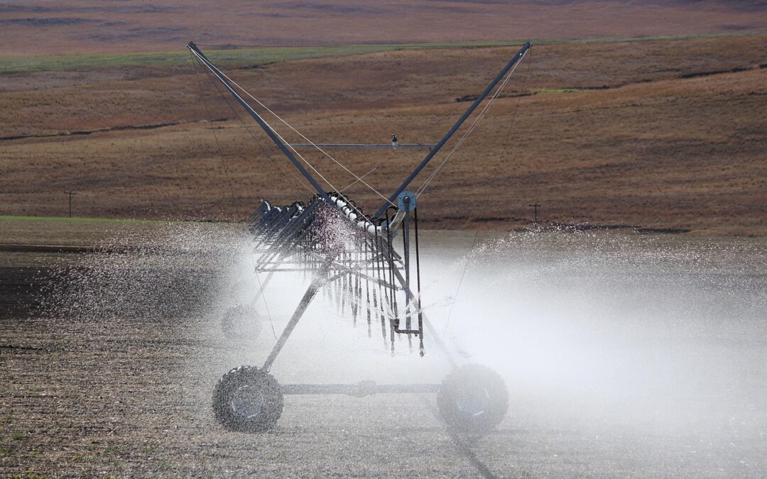 Inovasi Program Edukasi PKK untuk Anak-anak di Kebayoran Lama Selatan